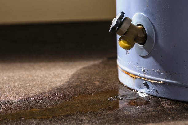 Trusted IA Water damage restoration Experts
