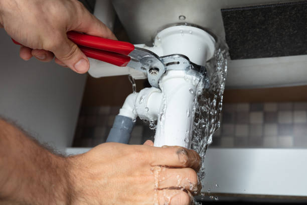 Best Mold removal after water damage  in Robins, IA