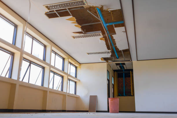 Best Water damage mitigation services  in Robins, IA