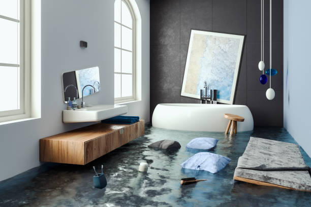 Best Mold removal after water damage  in Robins, IA