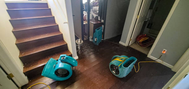 Best Water damage restoration process  in Robins, IA