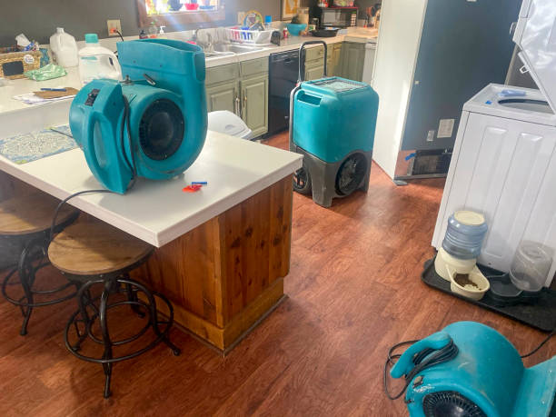 Best Local water damage restoration  in Robins, IA