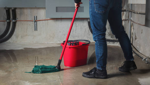 Best Water damage cleanup near me  in Robins, IA