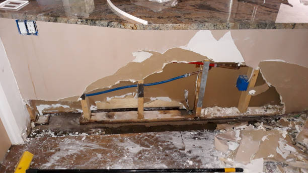 Best Carpet water damage restoration  in Robins, IA