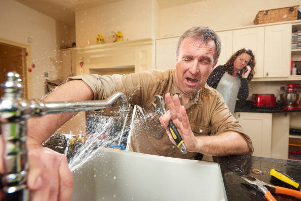 Best 24-hour water damage restoration  in Robins, IA